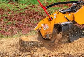 How Our Tree Care Process Works  in  Mont Alto, PA